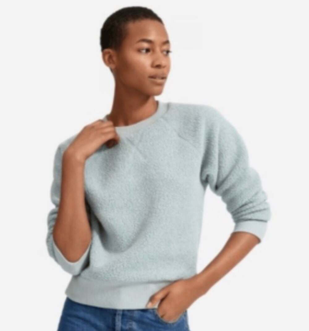 Everlane ReNew Fleece Raglan Sweatshirt
